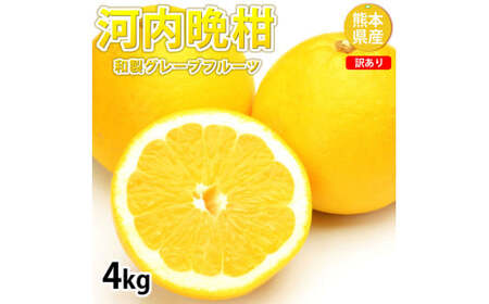 ＜ R8年熊本地震復興支援 ＞訳あり 河内晩柑 4kg 晩柑 ばんかん 柑橘類 果物 フルーツ 【2027年3月下旬～7月下旬迄発送予定】
