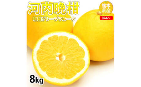 ＜ R8年熊本地震復興支援 ＞訳あり 河内晩柑 8kg 晩柑 ばんかん 柑橘類 果物 フルーツ 【2027年3月下旬～7月下旬迄発送予定】