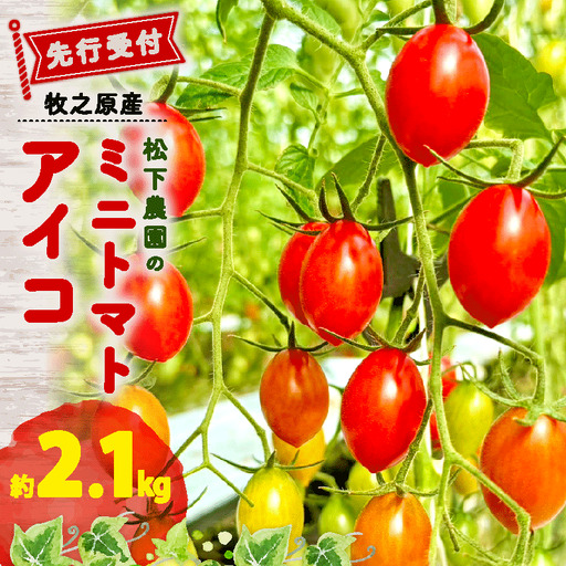 [先行予約]アイコ ミニトマト 2.1kg トマト 牧之原 静岡県 松下農園