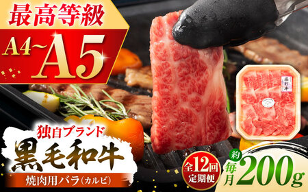 全12回定期便くまもと黒毛和牛藤彩牛 バラ (カルビ)焼き肉用 1650 カルビ