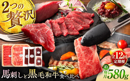 全12回定期便 熊本特産 馬刺し とくまもと黒毛和牛 フジチクオリジナル贅沢食べ比べセット 3905 馬刺し