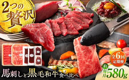 全6回定期便 熊本特産馬刺しとくまもと黒毛和牛 フジチクオリジナル贅沢食べ比べセット 3905 馬刺し