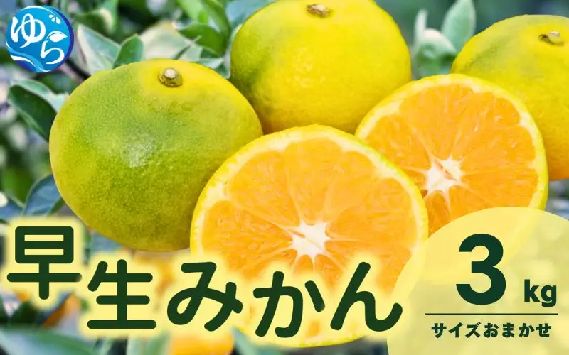 �ԗ�i�摜