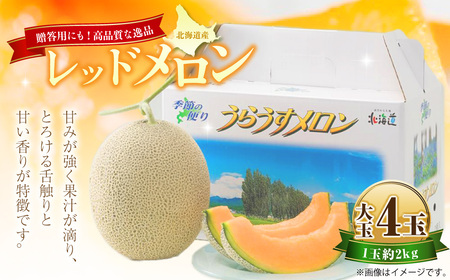 レッドメロン 大玉 4玉 （1玉 約2kg） 果物 フルーツ メロン めろん 赤肉 赤肉メロン 贈答 北海道 浦臼町 【2027年7月上旬～7月下旬発送予定】