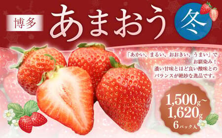 博多あまおう6パック（冬） 250g～270g×6パック 合計約1500g～1620g あまおう いちご 苺 イチゴ フルーツ 果物 くだもの【2026年12月上旬-2027年1月下旬発送予定】