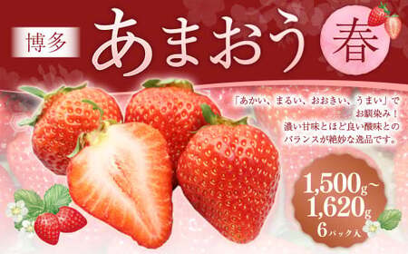 博多あまおう6パック（春） 250g～270g×6パック 合計約1500g～1620g あまおう いちご 苺 イチゴ フルーツ 果物 くだもの【2027年2月上旬-4月下旬発送予定】