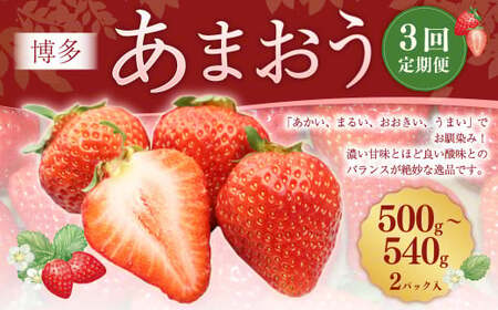 【3回定期便】 博多 あまおう （250g-270g）×2パック いちご 苺 イチゴ あまおう フルーツ 果物 くだもの 定期 福岡県 岡垣町【2027年2月上旬-4月下旬発送予定】
