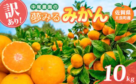 【訳あり】中尾農園の夢みるみかん 5kg 【2026年9月下旬~2027年1月下旬発送予定】みかん ミカン 蜜柑 柑橘 温州みかん フルーツ くだもの 果物 ビタミン豊富 国産 月の引力が見える町 さがみかん 太良みかん 夢見るみかん おいしい 減農薬 濃厚 ギフト 贈答品 贈り物 佐賀県 太良町 NB36x1