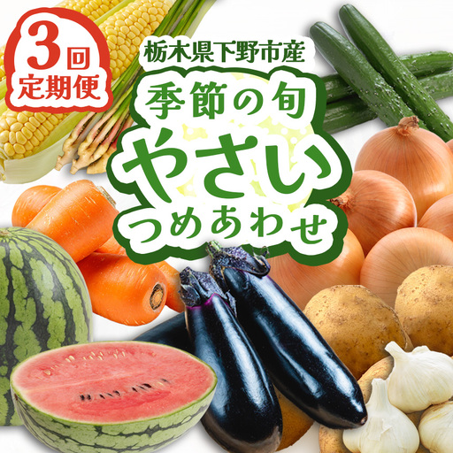 【定期便3回】下野市産 季節の旬野菜詰め合わせ  | 栃木県 下野市