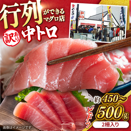 【訳あり】天然マグロ 中トロ メバチマグロ（約450~500g（2柵入り））  [AKAK090]