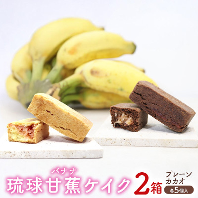 琉球甘蕉ケイク2箱（プレーン・カカオ）各5個入 沖縄 おきなわ おかし お菓子 バナナ アップルバナナ ばなな 伝統 特産品 ふるさと納税 送料無料 名護市 なご スイーツ お土産 お取り寄せ 人気 カカオ かかお