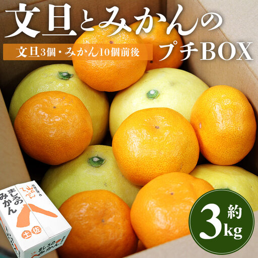 文旦とみかんのプチBOX 約3kg - 果物 くだもの フルーツ 柑橘類 ぶんたん ブンタン ミカン 詰め合わせ つめあわせ セット 食べ比べ お楽しみ おいしい 特産品 ms-0088