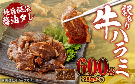 やわらか 牛ハラミ(サガリ)肉 極旨秘伝醤油タレ漬け 合計600g(300g×2袋)[訳あり]ハラミ 牛肉