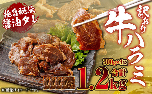 やわらか牛ハラミ(サガリ)肉　極旨秘伝醤油タレ漬け1.2kg(300g×4袋)【訳あり】ハラミ 牛肉 ASF-0134