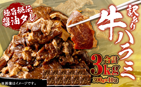 やわらか 牛ハラミ(サガリ)肉 極旨秘伝醤油タレ漬け 合計3.0kg(300g×10袋)[訳あり]ハラミ 牛肉 BS-147