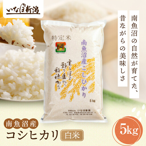 【令和7年】南魚沼産コシヒカリ 白米 5kg | コシヒカリ