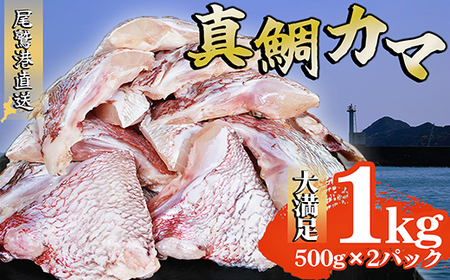 真鯛カマ 切り落とし 大満足 1kg 500g×2 パック 小分け 国産 希少部位 真鯛 マダイ 鯛 タイ たい ソテー 塩焼き 煮付け 鯛めし 人気 大満足 美味しい 魚介類 海鮮 バーベキュー BBQ 冷凍 肉厚 ふるさと納税 三重県 尾鷲市 OB-35