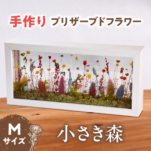 小さき森 窓(Mサイズ) 1個_kn116-001-01