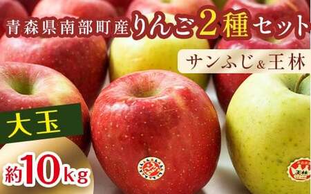 特選 (大玉)  青森産 完熟 りんご 約10kg サンふじ 王林 2種セット 【誠果園】 F21U-433