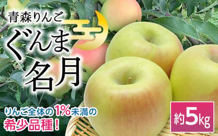 青森りんご ぐんま名月 約5kg（12〜20玉） 【マルス果樹園】 リンゴ 林檎 アップル 果物 くだもの フルーツ 3kg 以上 おすすめ あおもり 青森県 三戸 南部町 F21U-256