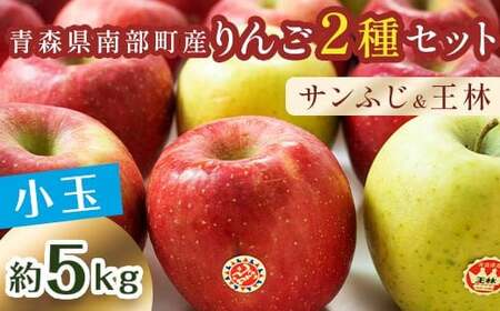 秀 (小玉) 青森産 完熟 りんご 約5kg サンふじ 王林 2種セット [誠果園] F21U-224