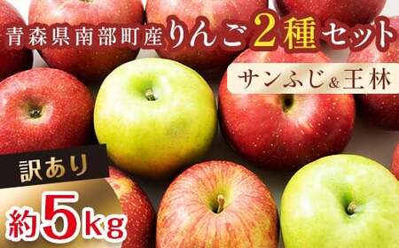 [訳あり] 青森産 完熟 りんご 約5kg サンふじ 王林 2種セット (中〜大玉) [誠果園] F21U-226