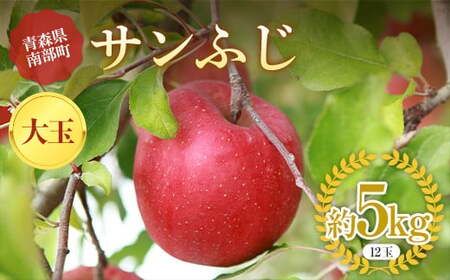 青森りんご サンふじ 特選品 (大玉) 約5kg (12玉) 【マルス果樹園】 F21U-295