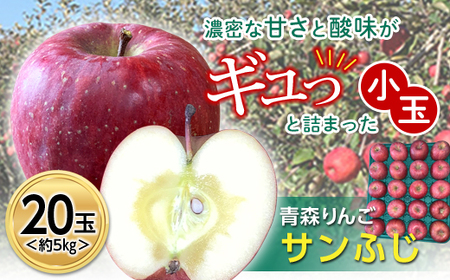 青森りんご サンふじ 約5kg (小玉20玉) 【マルス果樹園】 F21U-101