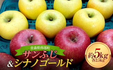 青森りんご サンふじ ・ シナノゴールド 2種セット 約5kg [マルス果樹園] F21U-294