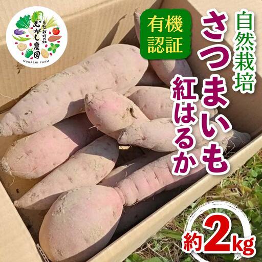 有機認証 自然栽培 さつまいも（紅はるか） 約2kg 【むがし農園】 オーガニック F21U-375