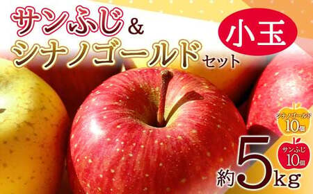 青森りんご サンふじ・シナノゴールド 2種セット 約5kg (小玉20個) [マルス果樹園] 食べきり リンゴ 林檎 アップル 果物 くだもの フルーツ 3kg 以上 おすすめ あおもり 青森 青森県 三戸 南部町 F21U-465