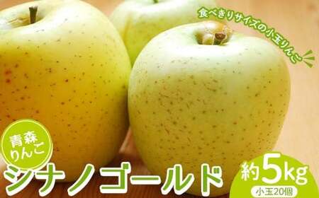 青森りんご シナノゴールド 約5kg (小玉20個) [マルス果樹園] リンゴ 林檎 アップル 果物 くだもの フルーツ 3kg 以上 おすすめ あおもり 青森 青森県 三戸 南部町 F21U-518