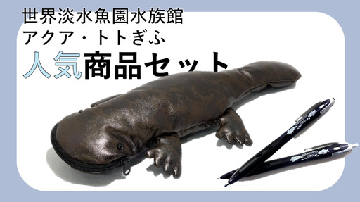 1001 世界淡水魚園水族館　アクア・トトぎふ　オオサンショウウオペンケース＋ボールペン・シャープペンセット