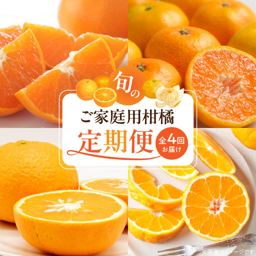 【発送月固定定期便】紀州和歌山産旬のご家庭用柑橘セット(みかん・不知火・せとか・清見)全4回_G60-T98