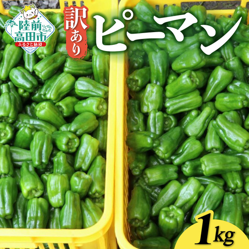 訳ありピーマン 1kg 野菜 料理 ピーマン