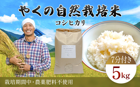 令和8年産先行予約 やくの自然栽培米 コシヒカリ 7分づき 5kg ゆたか（ゆたか自然農園）