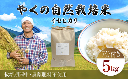 令和8年産先行予約 やくの自然栽培米 イセヒカリ 7分づき 5kg ゆたか(ゆたか自然農園)