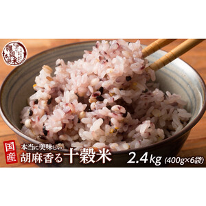 雑穀米本舗 国産 胡麻香る十穀米 2.4kg(400g×6袋)健康ご飯