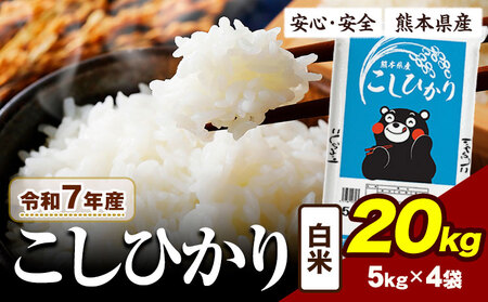 令和7年産  精米 こしひかり 白米 20kg 《7-14日以内に出荷予定(土日祝除く)》