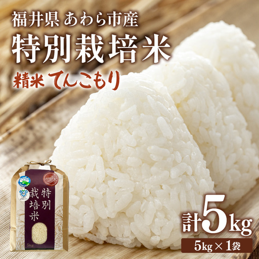 【先行予約】【令和8年産】化学肥料不使用 てんこもり 精米 5kg / 白米 米 福井県あわら市産 美味しい 特別栽培米 減農薬 安心な米 旨味 甘み もっちり 冷蔵保管米 ※2026年9月下旬以降順次発送 [aw010-a052]