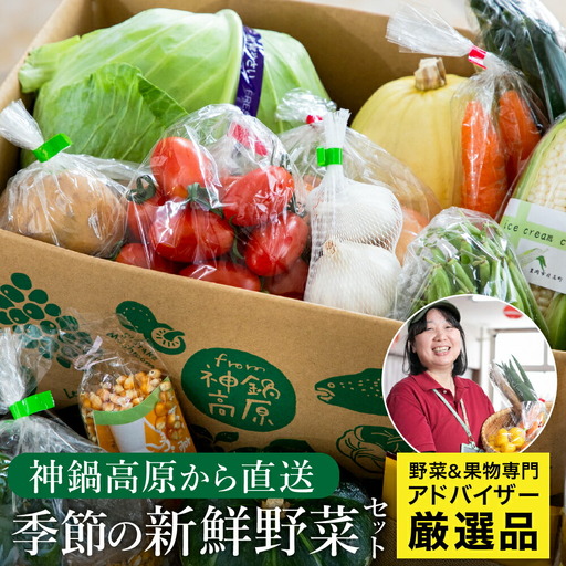 「高原の畑から直送」神鍋高原 季節の新鮮お野菜 詰め合わせセット 充実の5〜10品|ベジタブル&フルーツアドバイザーがセレクト[兵庫県北部豊岡市にある「道の駅神鍋高原」からお届けします]