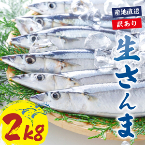 訳あり さんま 約2kg 冷蔵