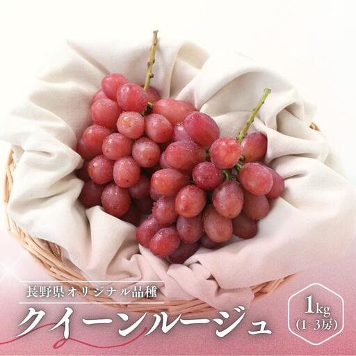 ぶどう クイーンルージュ®(長野県産秀品) 約1kg / 2026年10月中旬〜11月上旬頃 配送予定 // 稀少 新品種 長野県 南信州 高糖度 葡萄 ブドウ 甘い 種なし 皮ごと