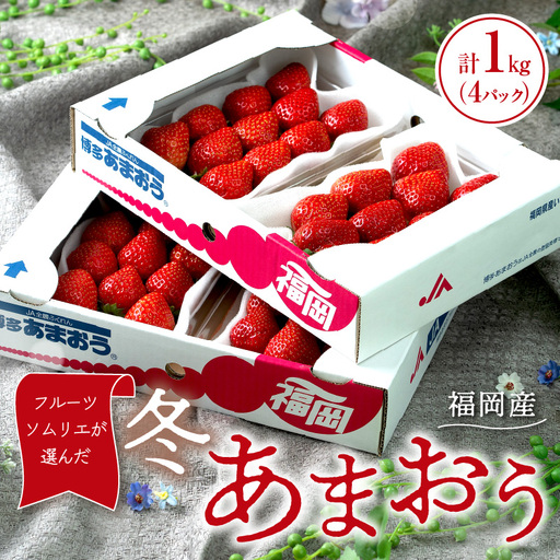 フルーツソムリエが選んだ福岡産【冬】あまおう4パック【011-0089】