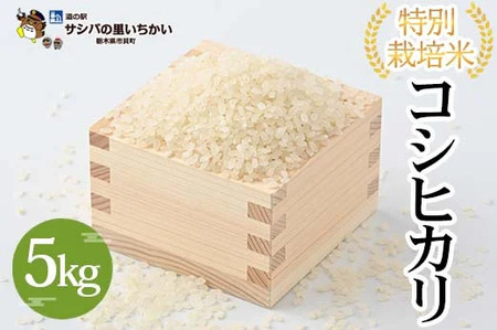 特別栽培米〈コシヒカリ〉5kg ≪米 お米 白米 ご飯 栃木県産≫ ※2026年9月～発送
