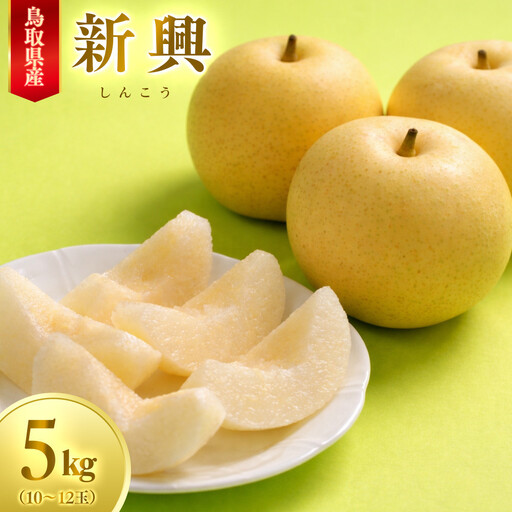 【先行予約】数量限定 鳥取県産梨 新興（しんこう） 5kg（10～12玉）