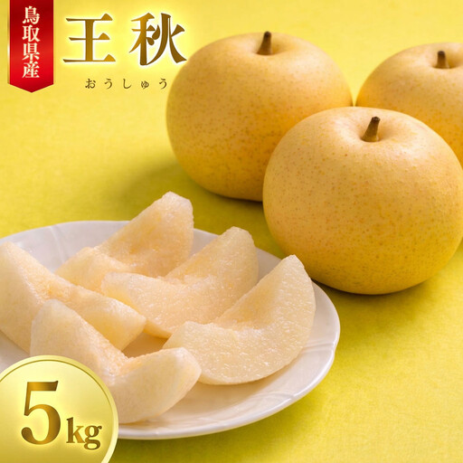 数量限定 鳥取県産梨 王秋（おうしゅう） 5kg（７～10玉）