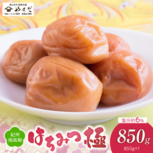 紀州南高梅はちみつ極塩分約6％（850ｇ）_YD1006