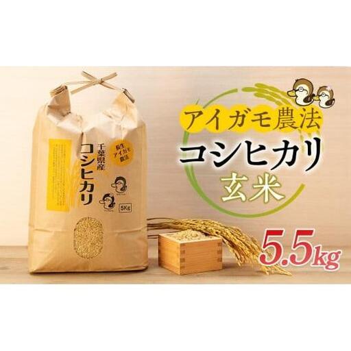 A01-002 アイガモ農法によるお米（玄米5.5kg）