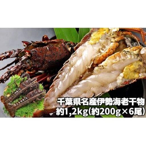 C04-E04 伊勢海老の干物 200g×6尾